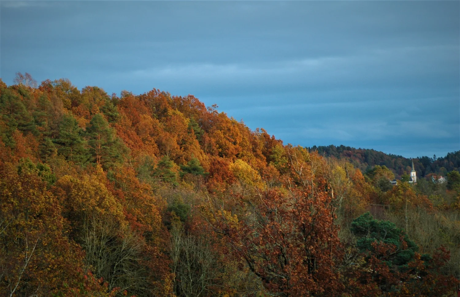 Skogsbad Hoyasen in Arendal